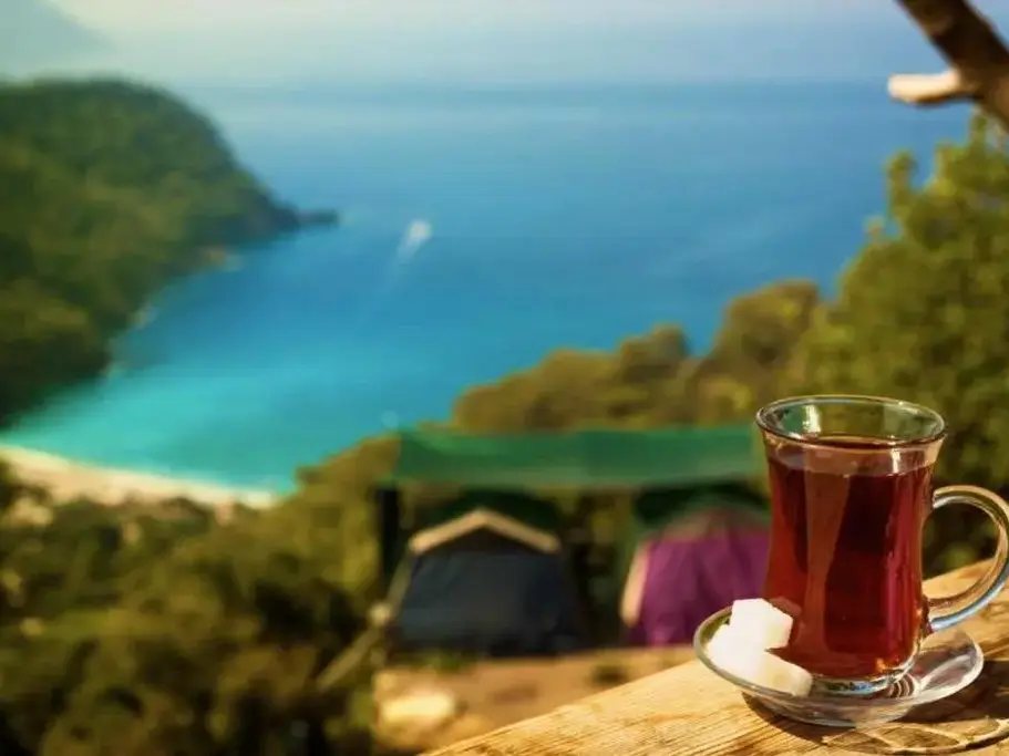 Bungalow Detay Resim