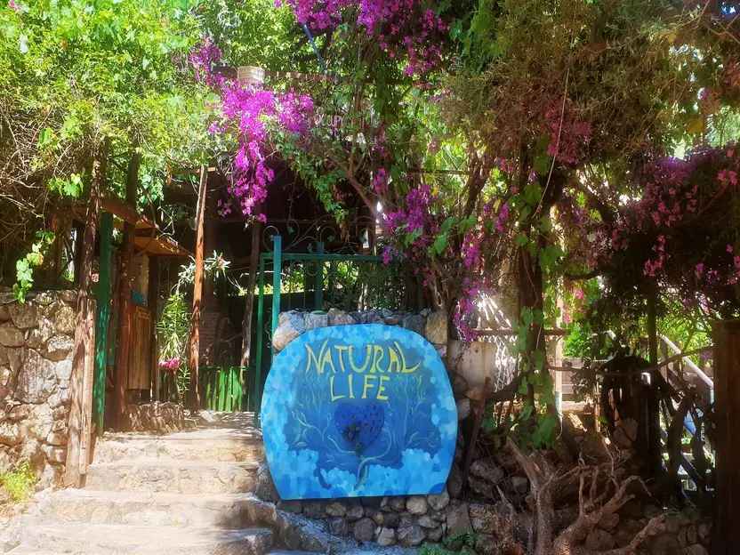 Kabak Natural Life